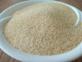 Dehydrated galric granules 3