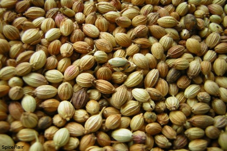 CORIANDER SEEDS (United Arab Emirates Trading Company) Spices