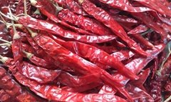 DRY RED CHILIES