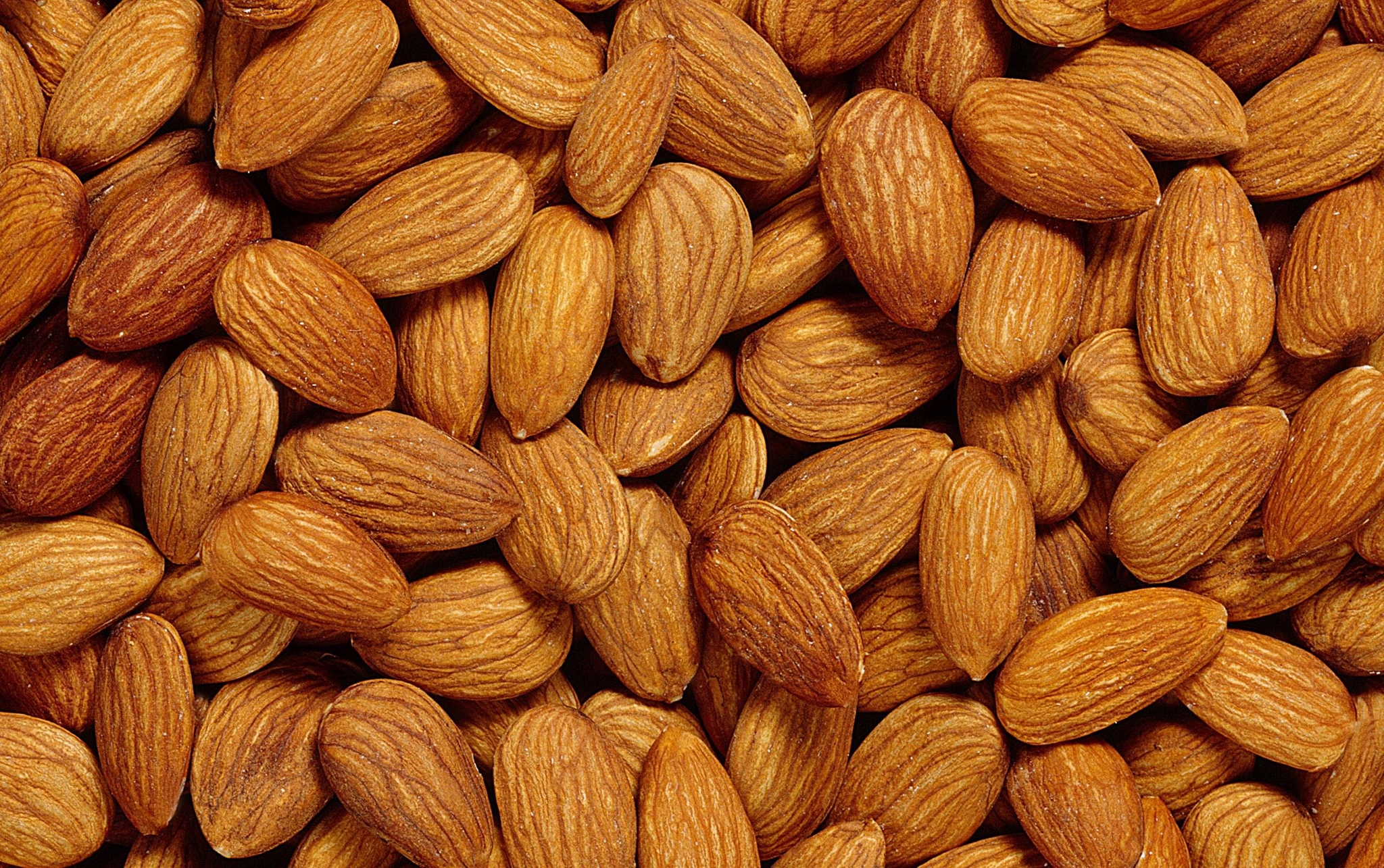 ALMONDS (United Arab Emirates Trading Company) Nuts Products Processed Food Products