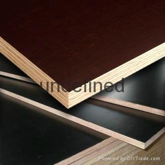 18mm concrete film faced plywood China plywood