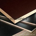 18mm concrete film faced plywood China