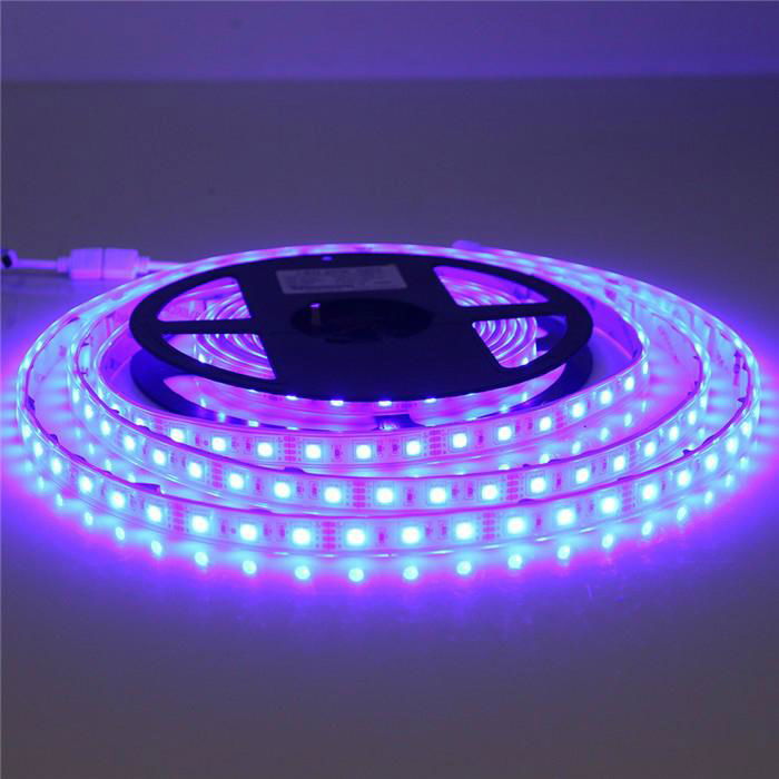 RGBW Flexible led strip light/ waterproof led strip light/led strip light