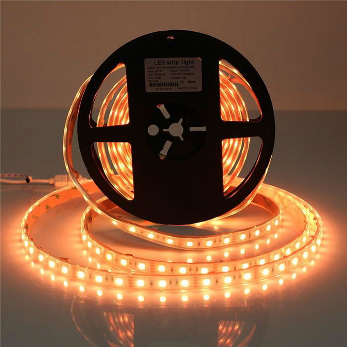 RGBW Flexible led strip light/ waterproof led strip light/led strip light 4