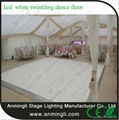 2017 party supplies portable led dance floors/led floor 4