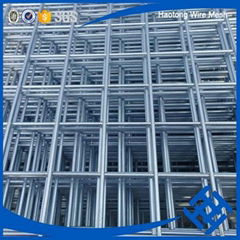 75 x 75mm galvanized welded wire mesh