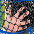 Anping Factory Rodent Proof chain link