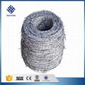 30 Years' factory supply types of galvanize barbed wire 1