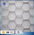 30 Years' factory supply hexagonal wire