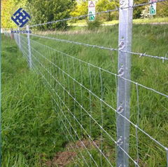 30 Years' factory supply heep.cow.cattle fence