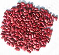 Red kidney beans