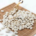 White kidney beans 1