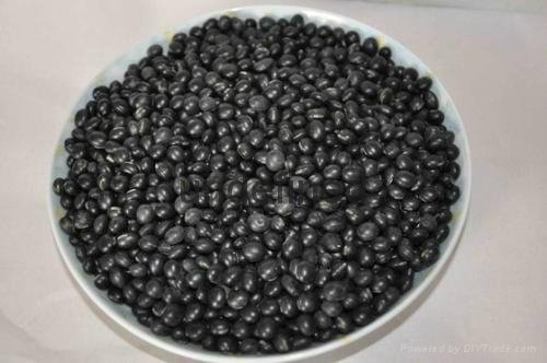 black soybeans