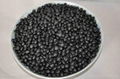 black soybeans 1