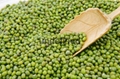 green mung beans