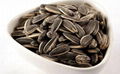 Sunflower seeds 1