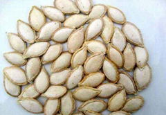 Pumpkin seeds