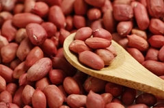 Red skin peanut kernels