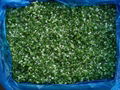 Chinese Spring Onion ( green onion ) chive 1