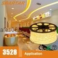 New Products 110V 1m SMD 3528 60 Lights LED Strips LED Flashing Lights with a Pl 4