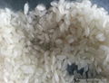 Round Grain Camolino  Rice