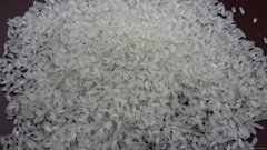 Medium Grain Camolino Rice