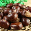 wholesale price hebei qianxi chestnut 1