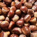 wholesale price hebei qianxi chestnut 4