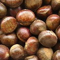 high quality hebei zunhua chestnut 1