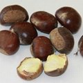 high quality hebei zunhua chestnut 2