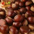 2017 New Crop Fresh chestnuts accept your orders now 3