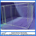 Hot sale new design outdoor best-selling cheap dog kennels