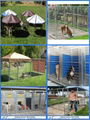 Fabulous well-suited hot sale new design outdoor best-selling cheap dog kennel 4