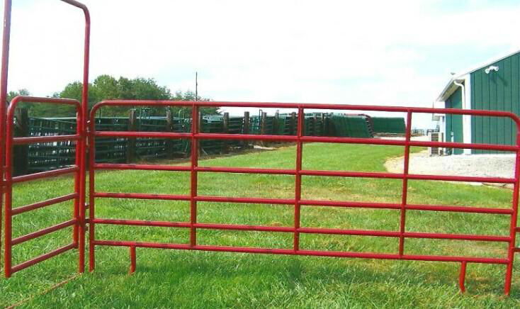 hot dipped galvanized hinge joint knotted cheap cattle sheep horse fence  2