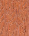 Synchronized Laminate flooring 4