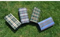 Promotional Logo Foldable Picnic Mats 1