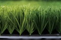 artificial grass for football 1