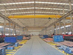 10 ton single girder overhead crane electrical