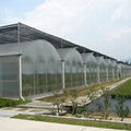 Agricultural Poly Multi-Span Arch PC Greenhouse 3