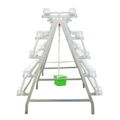 Greenhouse NFT Hydroponic System  for