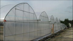 Agriculture Multi Span Film Greenhouse