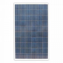 Poly Solar Panel 250W (CNSDPV250(60)P6-50/45)