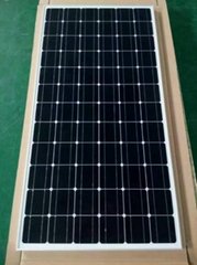 300W Monocrystalline Solar Module