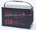 供應電力儲能GSB蓄電池GP1