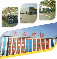 Henan Dongfeng Crane Machine Co., Ltd