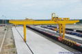 Track-type container gantry crane 1