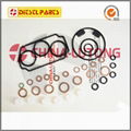 Repair Kits Z 146600-1120 B 9 461 610 423 Fl 800600 for Ve Pump Parts Replace fo 1