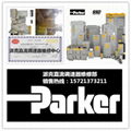 Shanghai parker dc governor maintenance