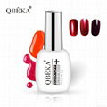 2017 New Fashion Nail Gel Polish Colorful Nail Art 2