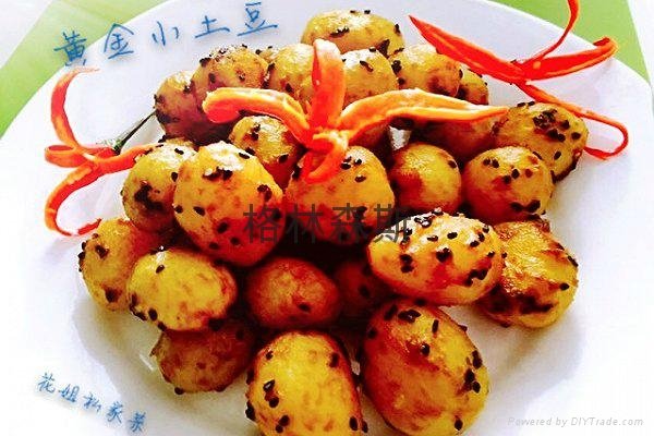 冷凍黃金速凍小土豆美食 5